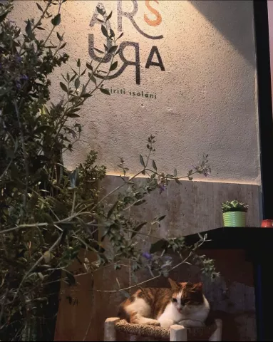 Arsura Spiriti Isolani